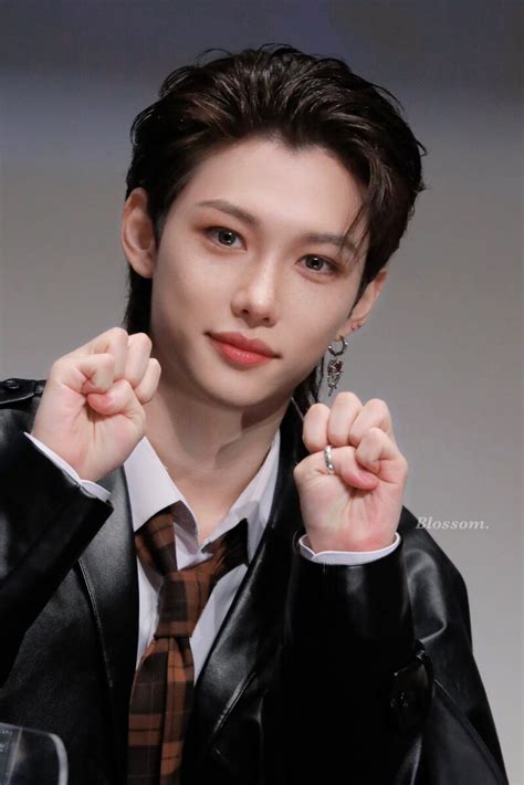 Bottom Lee Felix (Stray Kids) .